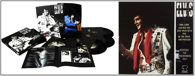 Not Too Sweet - Special Deluxe 10 Years Anniversary Edition